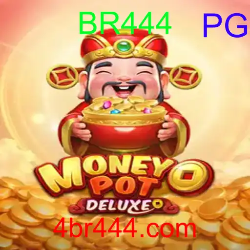MoneyPotDELUXE